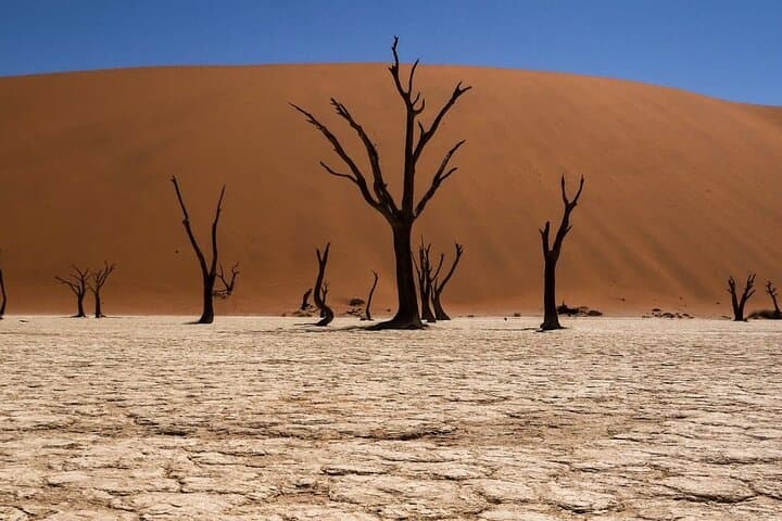 Sossusvlei in Two Days: Scenic Desert Dunes, Deadvlei & Moon Landscape from Swakopmund photo 3