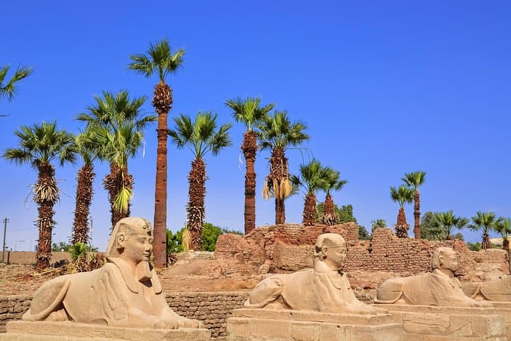 Two-Day Cairo & Luxor from Marsa Alam by Flight — Pyramids, Valley of the Kings and Karnak photo 4