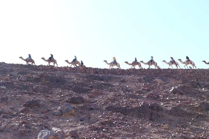Sunrise on Mount Sinai: Overnight St. Catherine Monastery Trip from Cairo photo 6