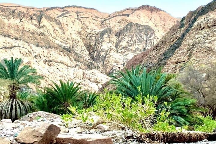 Private Jeep Safari to Wadi Qunai & Three Pools from Dahab — Off‑Road and Snorkel Day Trip photo 4