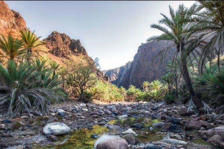 Private Jeep Safari to Wadi Qunai & Three Pools from Dahab — Off‑Road and Snorkel Day Trip photo 5