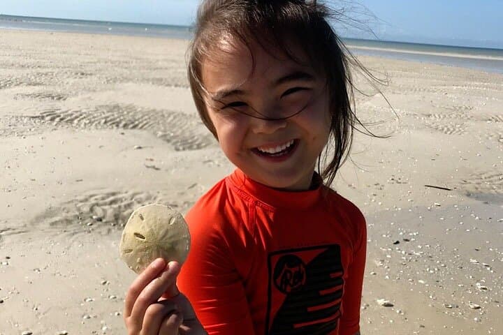 Sunrise Shelling Tour in the Ten Thousand Islands — Early-Morning Boat Trip to Kice Island & Shell Island photo 2