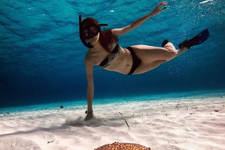 Cozumel Snorkeling Day Trip from Cancun: El Cielo, Palancar & Columbia Reefs photo 1