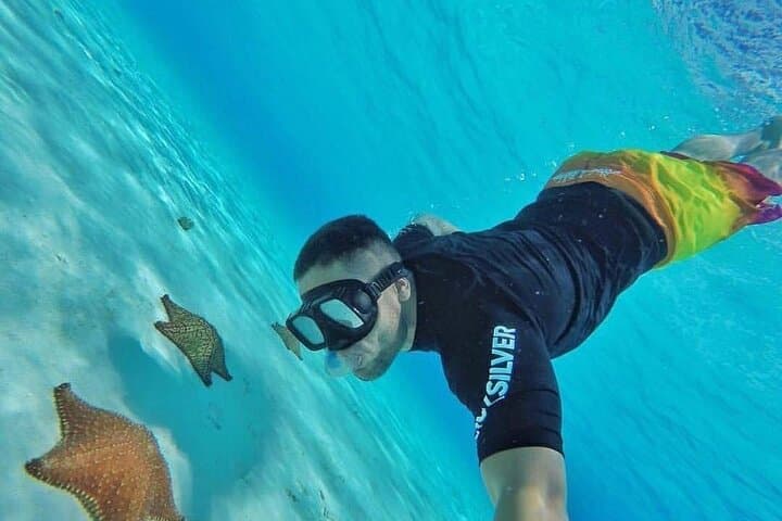 Cozumel Snorkeling: El Cielo, Palancar & Columbia Reefs from Cancun