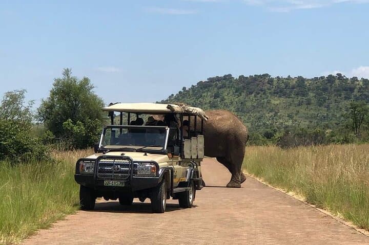 Pilanesberg National Park Full-Day Guided Safari from Johannesburg photo 1