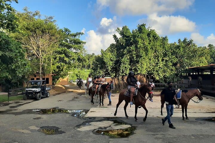 Private Transfer San Juan (SJU) to Dorado — 45-Minute Airport & Hotel Transfer photo 6