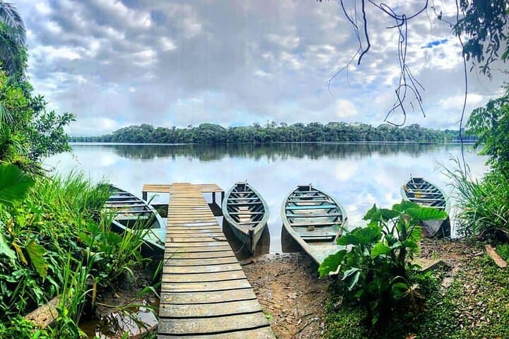 4-Day Tambopata Jungle Lodge Adventure: Lake Sandoval & Canopy Platforms photo 4
