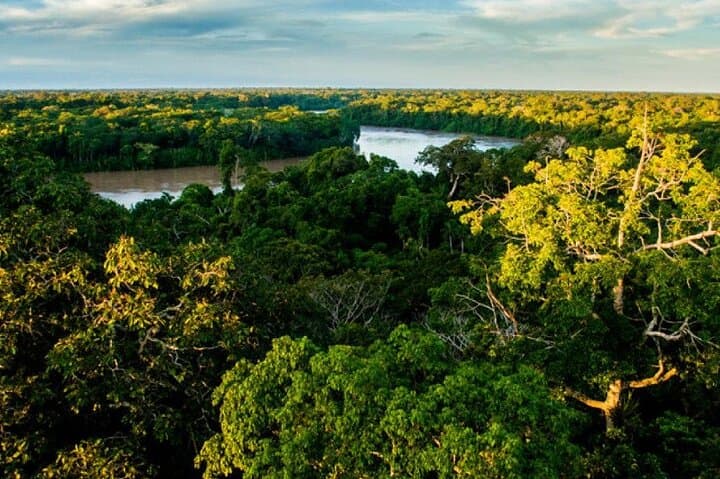 4-Day Tambopata Jungle Lodge Adventure: Lake Sandoval & Canopy Platforms photo 6