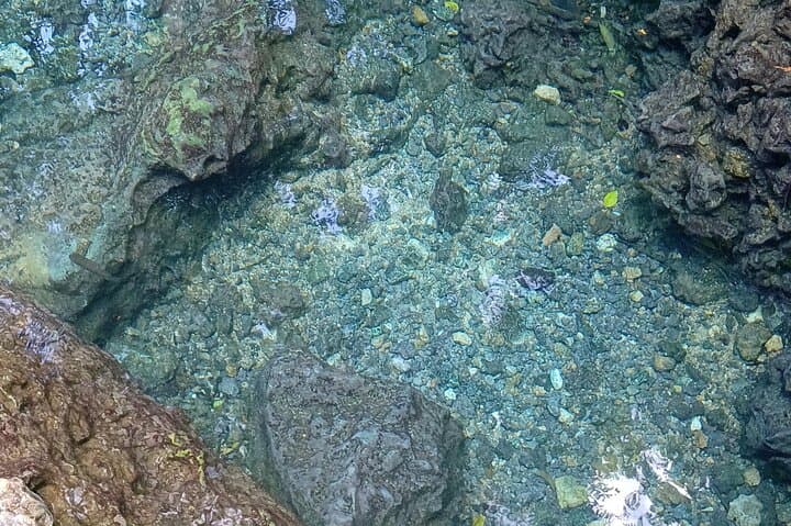 Tortuguero Coastal MTB Ride to a Hidden Spring and Cave photo 4