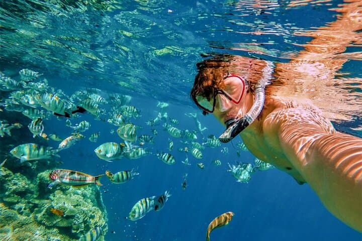 Cabo Boat Tour & Pelican Rock Snorkel — El Arco, Sea Lions and Whale-Spotting photo 3