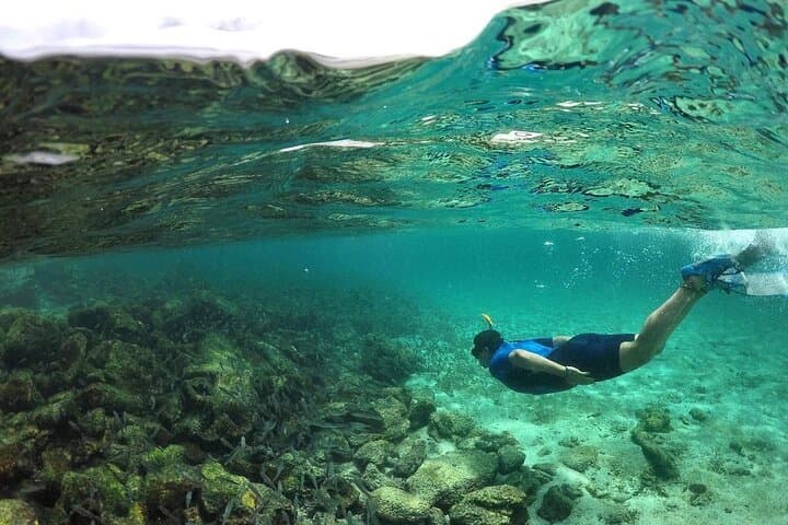 Full-Day Pinzón Island Snorkel & La Fe Coastal Hike from Puerto Ayora photo 3