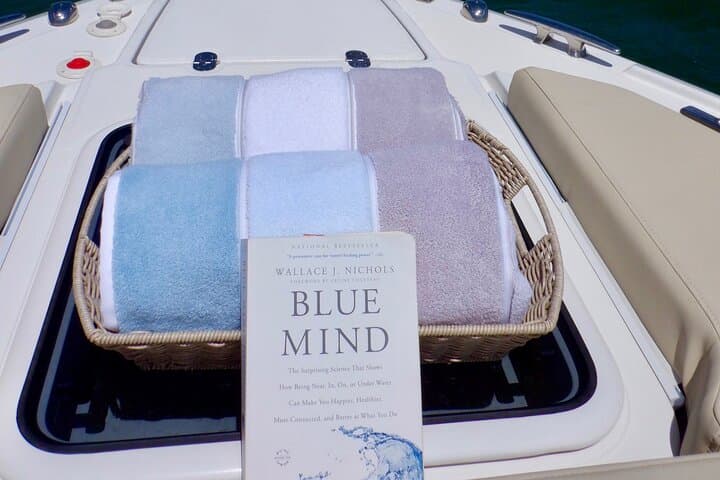 Blue Mind Yacht Spa on Lake Travis — Austin Day Spa Onboard Yacht Charter photo 1