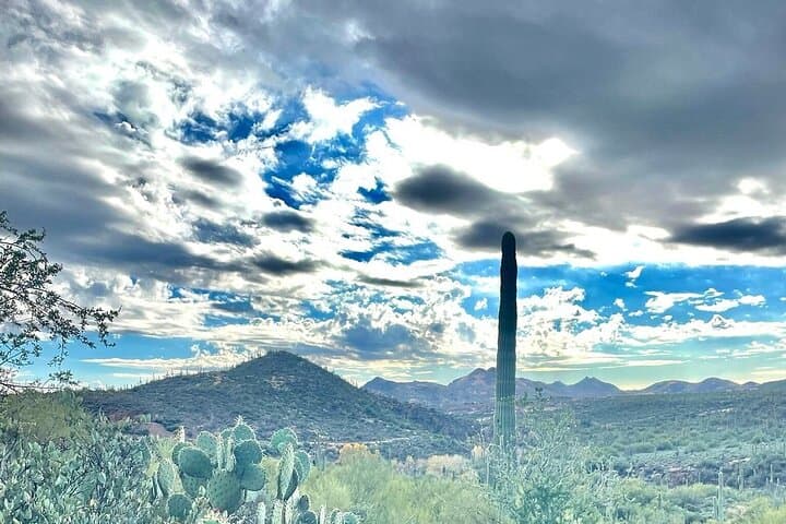 Ride Through the Rugged Beauty of the Sonoran Desert: A Private 3-Hour Guided Mountain Bike Adventure photo 3