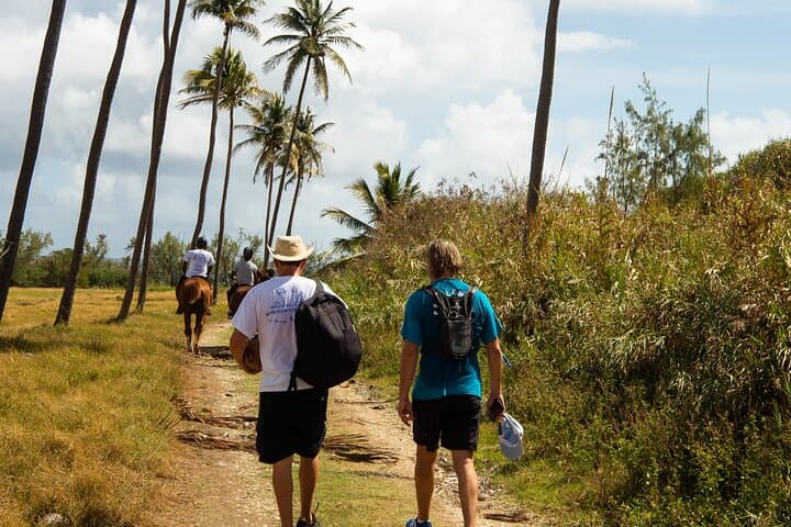 Eco Tour East Coast Barbados: Hike, Horse Ride & Seabath Experience photo 4