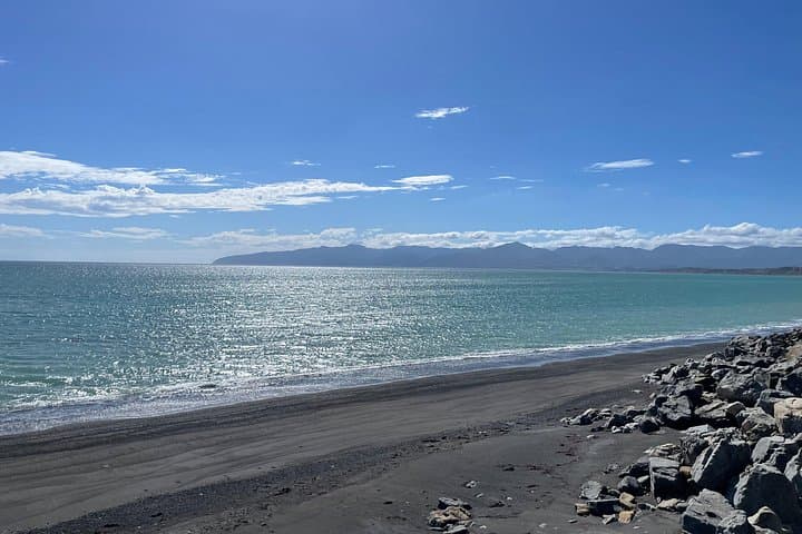Private South Wairarapa Day Tour: Cape Palliser, Martinborough Wineries & Seal Colony photo 4