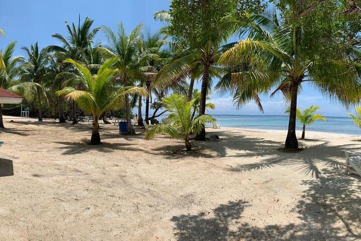 Roatan Cruise Ship Beach & Town Shore Excursion — 50-Minute Beach Stop