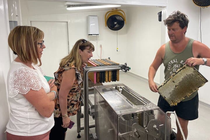 Martinborough Day Tour: Private Food, Wine & Artisan Tastings from Wellington photo 6