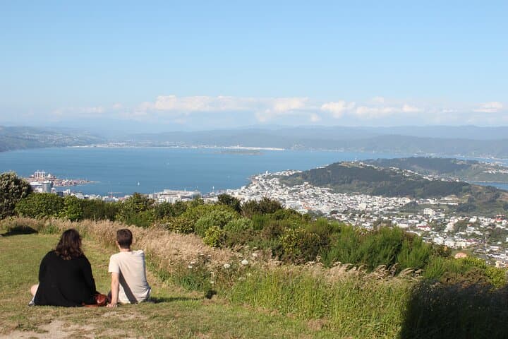 Private Wellington Scenic Full-Day Tour: Cable Car, Weta Cave & Eastern Bays