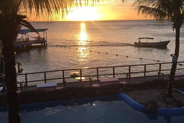 Roatan Cruise Ship Beach & Town Shore Excursion — 50-Minute Beach Stop photo 5