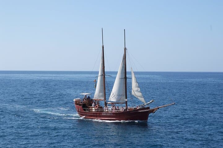 Schooner Whale and Dolphin Watching from Los Cristianos photo 2