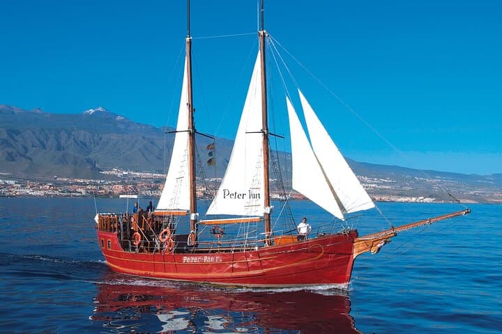 Schooner Whale and Dolphin Watching from Los Cristianos photo 6