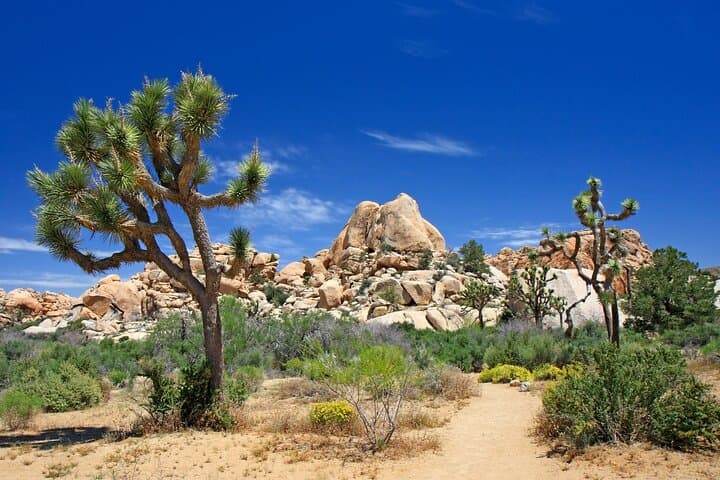 ultimate-california-self-guided-driving-and-walking-bundle photo 4