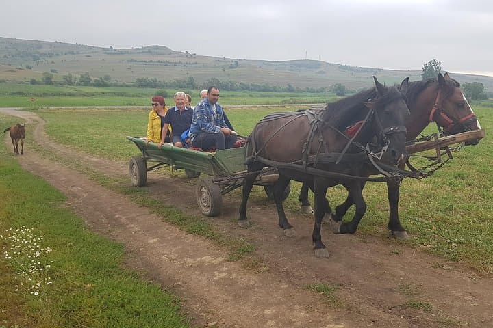 Complete 14-Day Private Tour of Romania, Moldova and Transnistria from Bucharest photo 2
