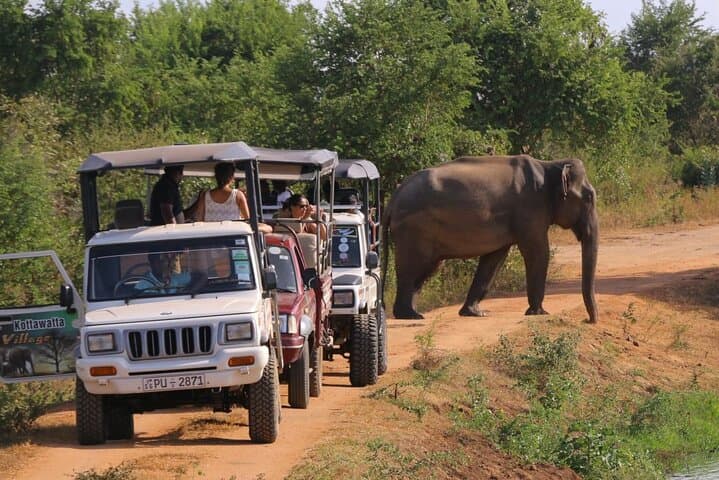 8-Day Sri Lanka Private Adventure: Sigiriya, Horton Plains, Adam's Peak & Tea Country photo 2