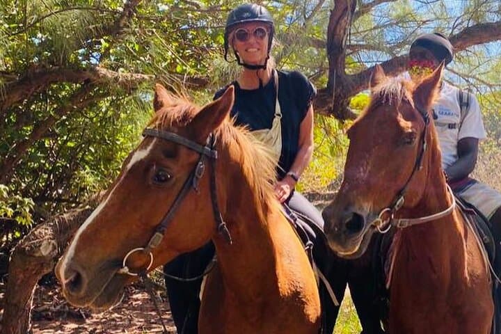 Eco Tour East Coast Barbados: Hike, Horse Ride & Seabath Experience photo 3