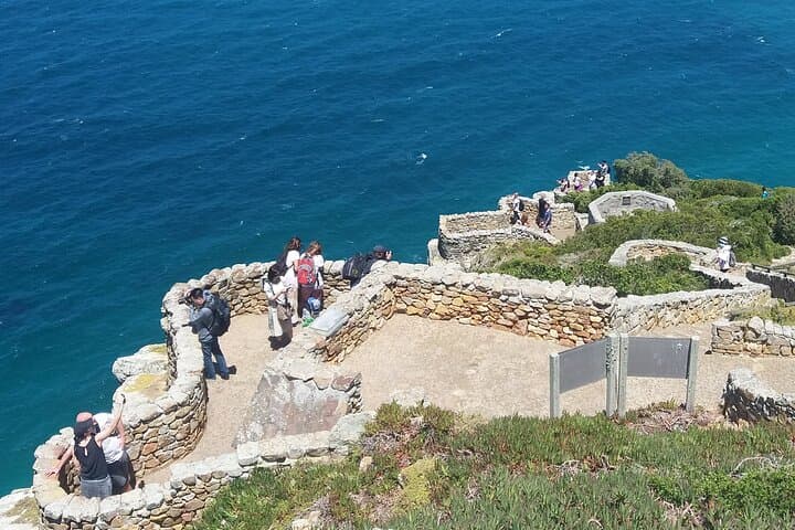 Cape Peninsula Full-Day Tour: Seal Island, Chapman's Peak & Boulders Beach photo 2
