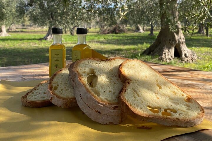 Matera Olive Groves and Cialledda: Hands-On Food & Wine Lab photo 5