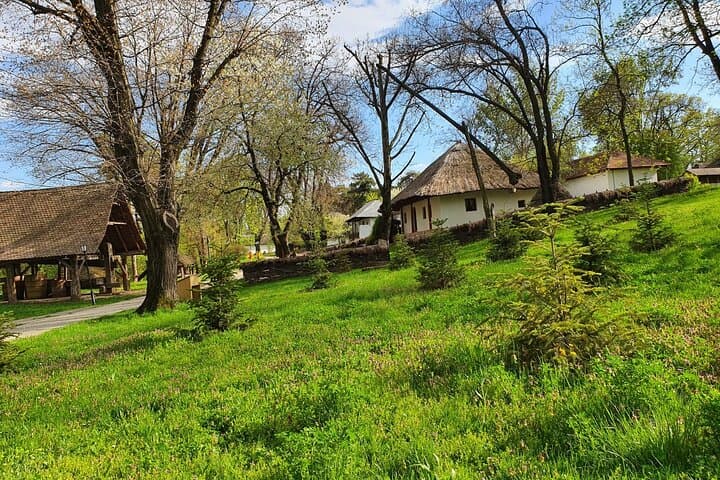 Private Tour: Dracula's Tomb, Ceaușescu Mansion & Bucharest Village Museum photo 3