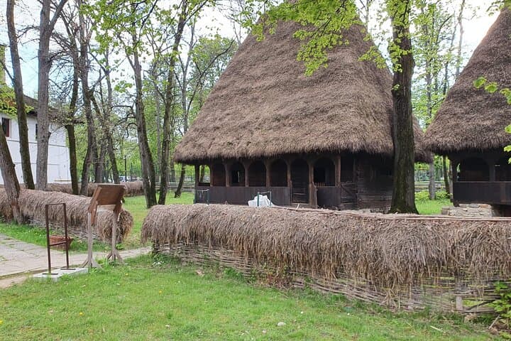 Private Tour: Dracula's Tomb, Ceaușescu Mansion & Bucharest Village Museum