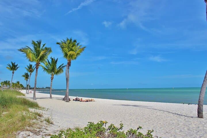 Key West Catamaran: Morning Reef Snorkel and Sunset Dinner Cruise with Open Bar photo 2