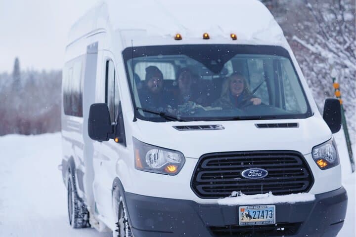 Jackson Winter Wildlife Safari: Elk Refuge Sleigh Ride & Igloo Dinner photo 4