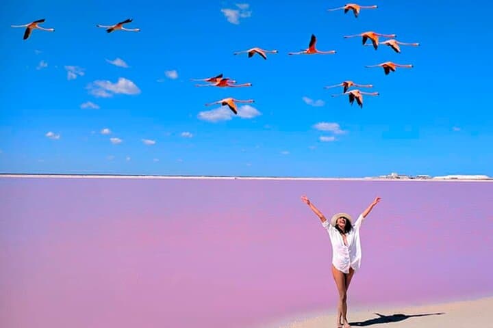 Las Coloradas Pink Lakes & Río Lagartos Wildlife Tour — Flamingos, Pink Lagoons & Boat Safari photo 2