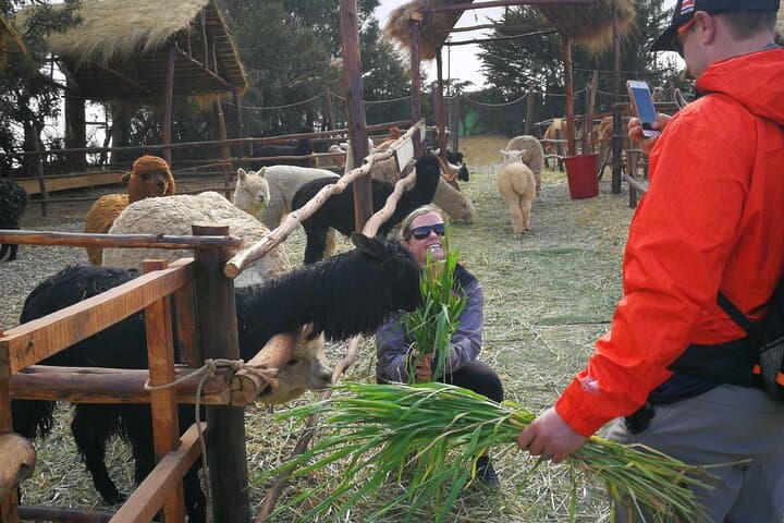 Cusco City Sightseeing: Qorikancha, Sacsayhuamán & Andean Highlights photo 6