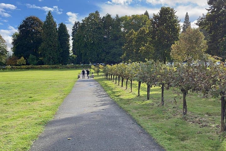 Snoqualmie Falls and Woodinville Wineries Day Tour from Seattle photo 4