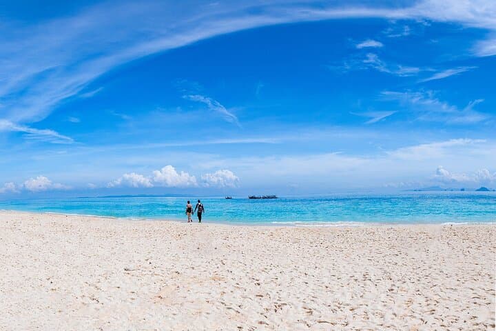 Snorkeling Phi Phi Islands by Speedboat — Maya Bay, Pileh Lagoon & Bamboo Island photo 3