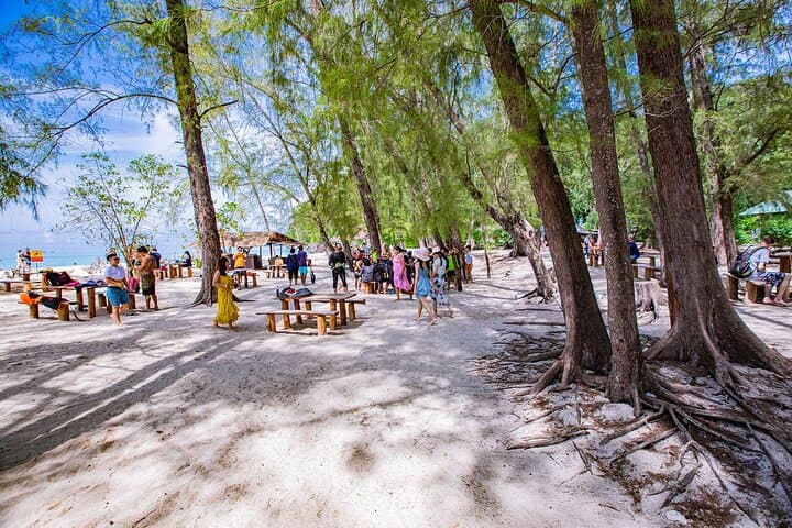 Private Longtail Around Phi Phi & Bamboo Island — 6-Hour Charter Guide photo 6