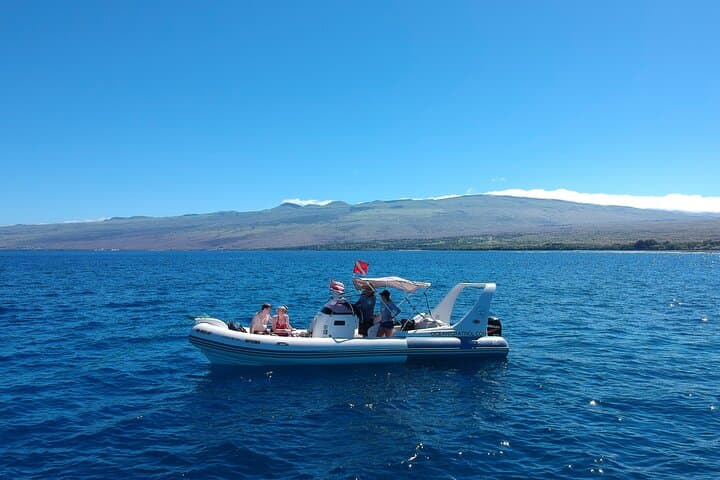 Whale Watch in Kealakekua, Hawaii