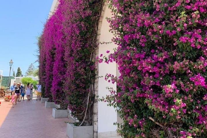 Capri Island & Blue Grotto Small-Group Day Tour — Anacapri, La Piazzetta & Monte Solaro photo 3