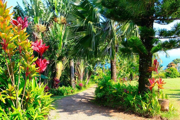 Ultimate Self-Driving Road to Hana Audio Tour — Maui Scenic Driving Guide photo 4