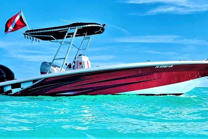 Key Largo Private Sunset Cruise: Mangroves, Dolphins & Ocean Views photo 3