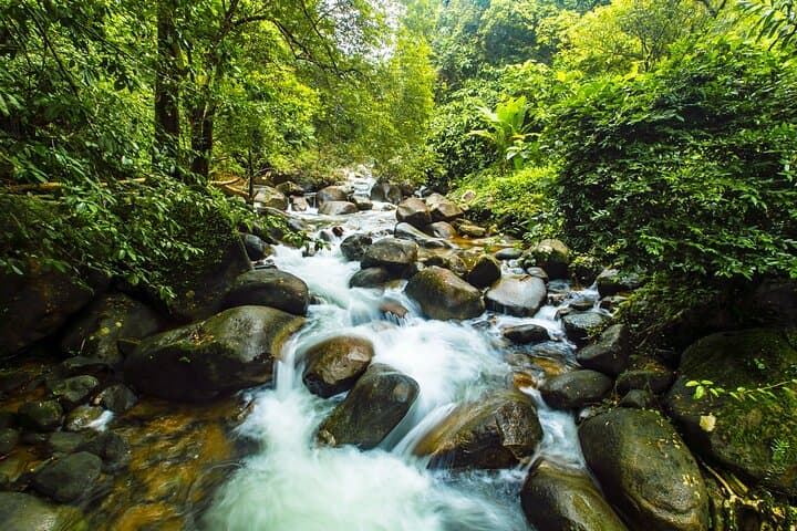 Chanthaburi Family Walking Tour: Discover Hidden Gems in Thailand's Riverfront Town photo 2