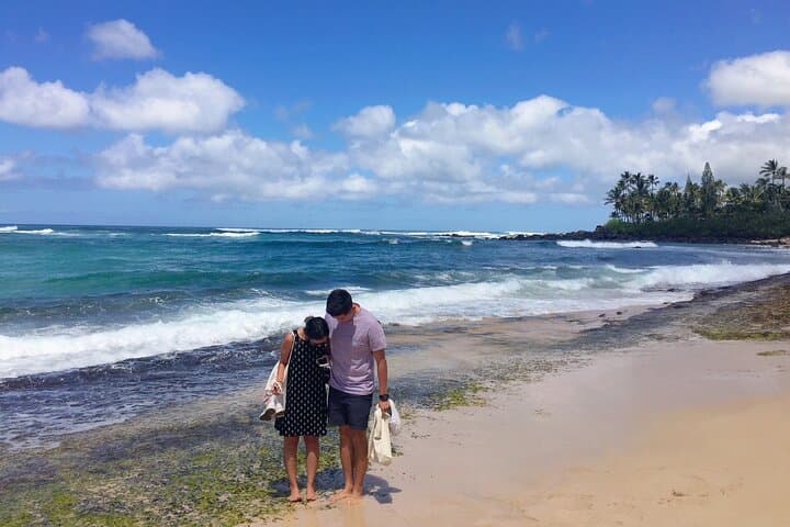 Private Oahu Build-Your-Tour Charter — Custom Waikiki & Oahu Day Trips photo 4