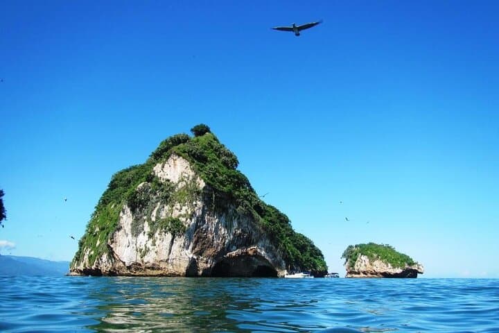 Private Snorkeling Adventure to Los Arcos & Colomitos Beach — Puerto Vallarta Marine Park photo 6