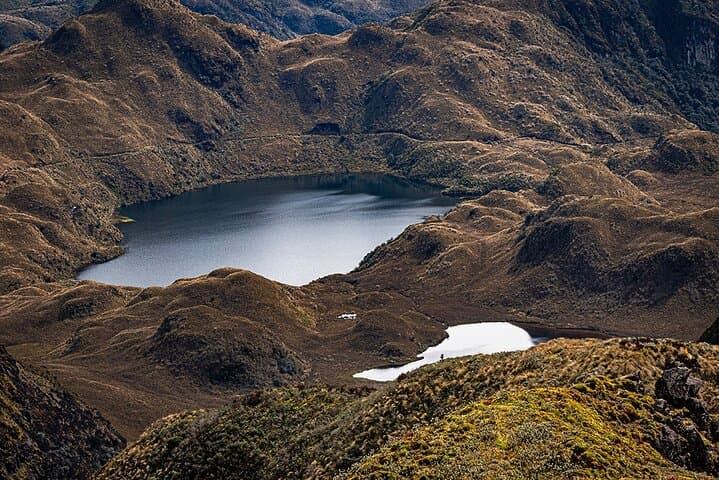 Explore Ecuador’s Rio Quijos Valley: Hummingbirds, Andean Bears & Cloud Forests