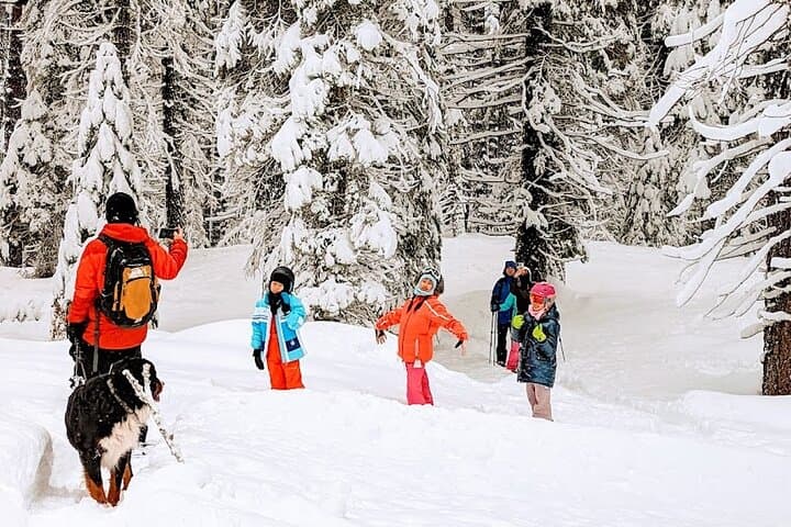 Introductory Snowshoe Tour in Tahoe National Forest — Beginner Winter Walks Near Palisades Tahoe photo 2
