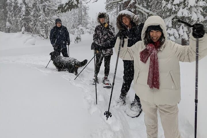 Introductory Snowshoe Tour in Tahoe National Forest — Beginner Winter Walks Near Palisades Tahoe photo 3